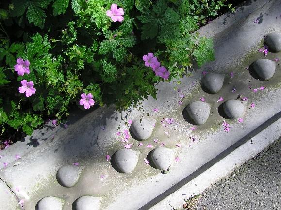 Ränndal i cement med lökformade detaljer och blomma