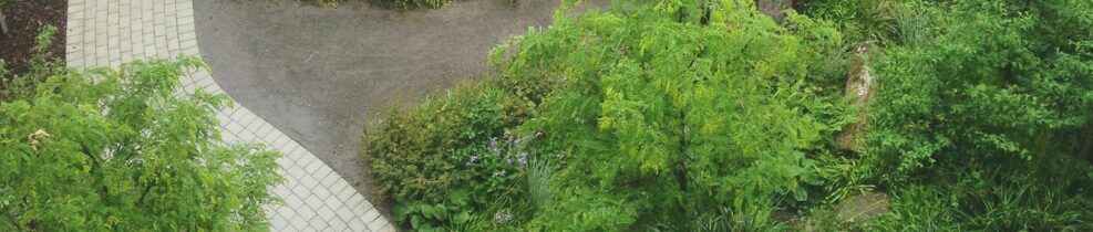 Skyfallsanpassad trädgård med buskage, träd och gång, plats för mycket regn