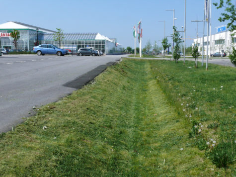 Gräsdike vid sidan av en asfalterad parkering