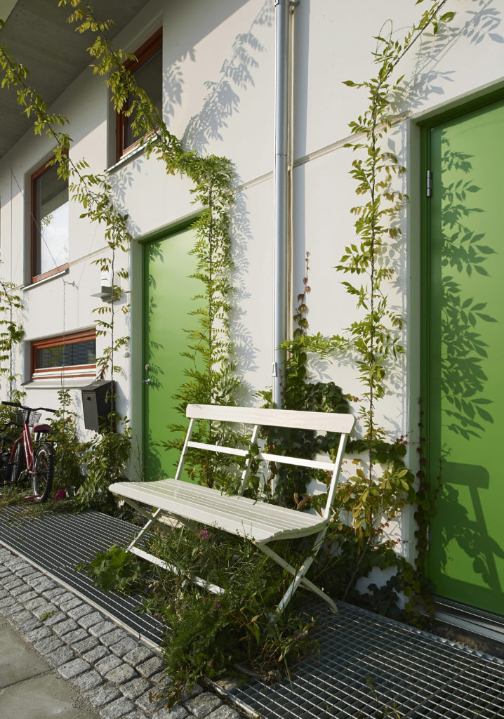 Bänk framför hus, gröna växter som kommer upp ur galler på marken och slingar sig längs väggen