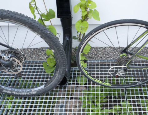 Två cykelhjul på ett galler med lite växter i